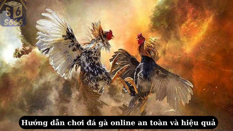 Hướng dẫn chơi đá gà online an toàn và hiệu quả