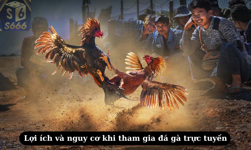 Lợi ích và nguy cơ khi tham gia đá gà trực tuyến